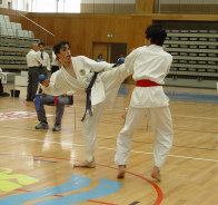 atribuídos, ficando em segundo lugar a Associação Negrelense de Karate.