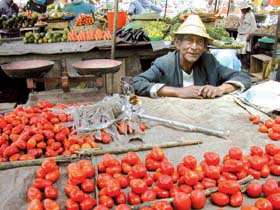 44 A distância até a cidade e o desempenho das cadeias de processamento de alimentos em Antananarivo, Madagascar Marie-Hélène Dabat, Romaine Ramananarivo, Faramalala Evelyne Ravoniarisoa, Tovohery