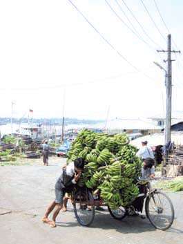 55 Algumas famílias periurbanas preferem colaborar para levar suas colheitas até o mercado e arrendam, em conjunto, um caminhão (ao custo de US$ 1 por milha) para ir até Yangon.