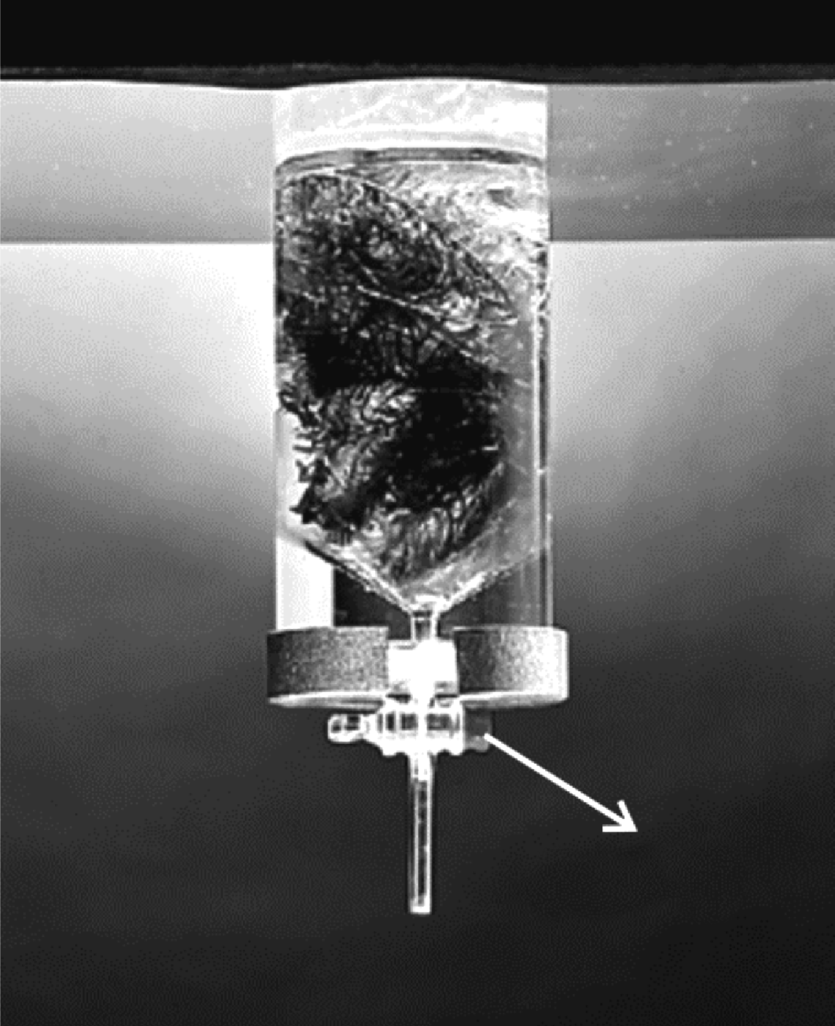 B.06 A figura abaixo mostra um equipamento que coleta gases produzidos por plantas aquáticas. Nele, são colocados ramos que ficam submersos em líquido; uma válvula controla a saída dos gases. www.
