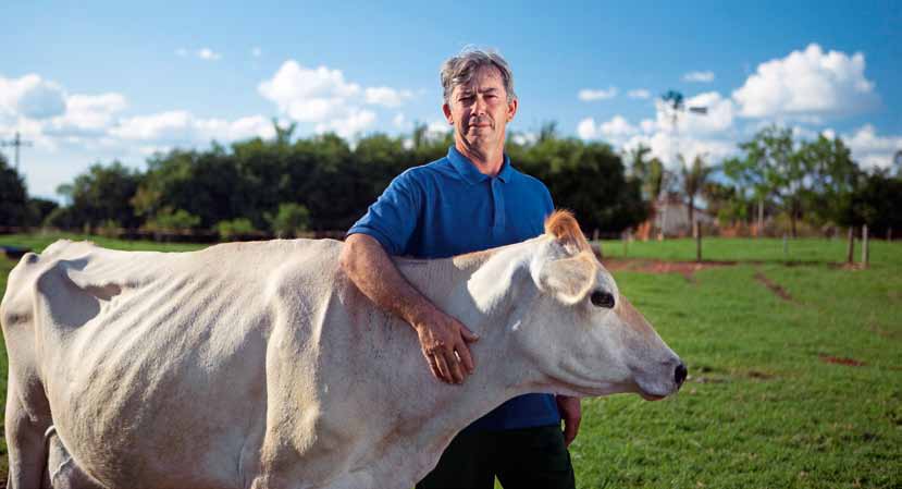 Alimento sustentável Leite de melhor qualidade Entre os programas desenvolvidos pela Nestlé/DPA visando à melhoria da qualidade do leite, destacam-se o Boas Práticas na Fazenda (BPF), que contribui