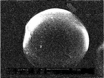 0 com fosfato de zircônio em um aumento de 132 vezes, análise por MEV 5.1.1.4.