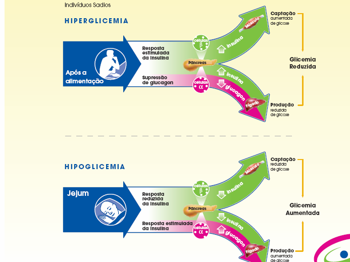 46 célula beta também deve contribuir para a resistência à ação da insulina (GELONEZE; LAMOUNIER; COELHO, 2006). A insulina e o glucagon regulam a homeostase normal da glicose.