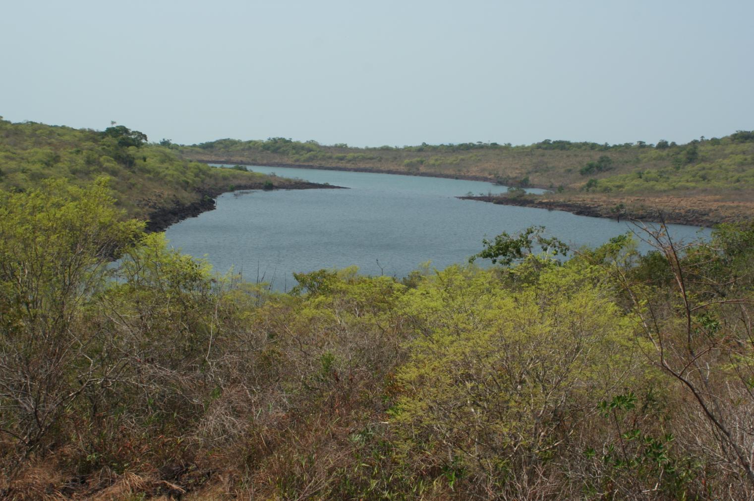 Caracterização Local A caracterização da vegetação do local do empreendimento foi realizada por meio da observação e identificação dos indivíduos ocorrentes de forma isolada nas áreas de pastagem e