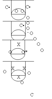 Exemplos de Programas Práticos Treinamento de Basquetebol - Semana 5 Sugira no Mínimo Dois Treinamentos (repetindo e reforçando conceitos em ambos) 20 minutos Aquecimento: Corrida (para frente e para