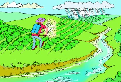 Fertilizantes e pesticidas: usados na agricultura, são arrastados pela chuva até os cursos d água. Fonte: CD Água, Meio Ambiente e Vida Coleção Água, Meio Ambiente e Cidadania ABEAS e SRH/MMA.
