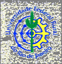UNIVERSIDADE FEDERAL RURAL DO RIO DE JANEIRO INSTITUTO DE CIÊNCIAS HUMANAS E SOCIAIS CURSO DE PÓS-GRADUAÇÃO DE CIÊNCIAS SOCIAIS EM DESENVOLVIMENTO, AGRICULTURA E SOCIEDADE CPDA TESE Retratos de