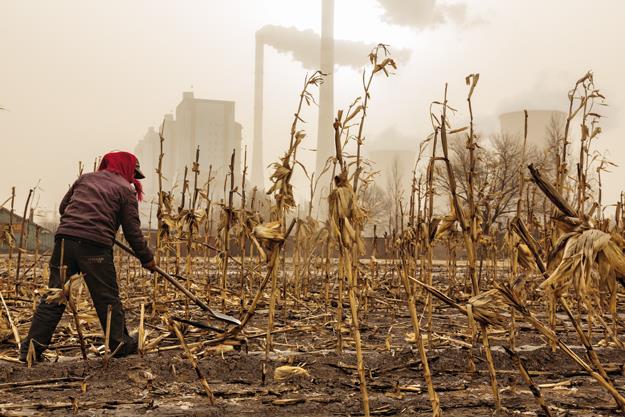 XUOZHOU, CHINA Perto de uma central na província de Xanxi, no meio dos caules murchos da safra de milho, um agricultor