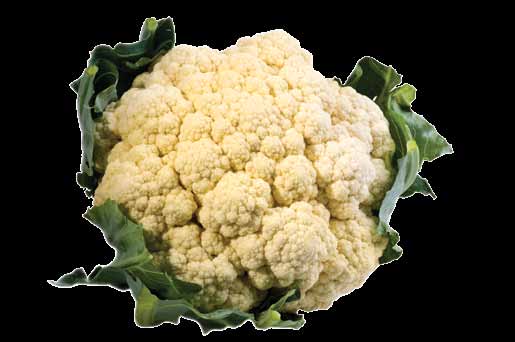 24 1 Couve-flor ome popular Couve-flor ome científico Brassica oleracea var. botritys Descrição É uma hortaliça rica em cálcio e fósforo e fonte de folato e vitamina C.