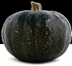 1 Abóbora ome popular Abóbora ome científico Cucurbita moschata Duch. Descrição É uma cultura tipicamente tropical com frutos ricos em vitamina A.