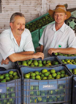 de inovar, ousar e oferecer o produto ou o serviço que o mercado deseja.