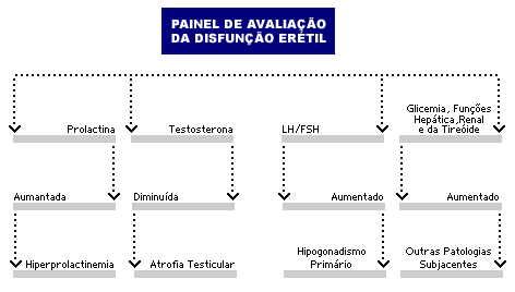 do pénis. A perda de erecção antes da ejaculação é a queixa mais comum. A disfunção eréctil pode ser classificada como fisiológica ou funcional.