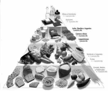 Figura 1 Phillip ST,Ribeiro LC,Latterza AR,Cruz ATR. Pirâmide Alimentar Adaptada, 2005.