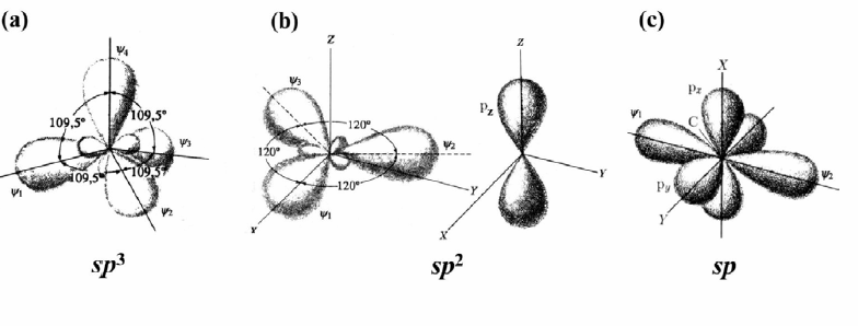 [53]. Figura 2.4 - Orbitais eletrônicos dos estados híbridos (a) sp³, (b) sp² e (c) sp do carbono [53].