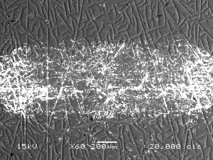 71 Figura 4.24 DLC PVD 1µm sobre UHMWPE. Trilha de desgaste para 20.000 ciclos motores.