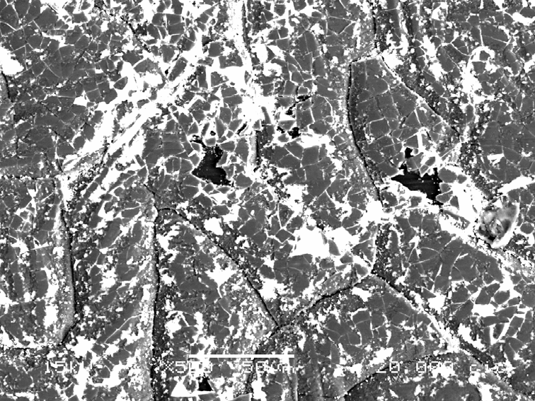 72 Figura 4.26 DLC PVD 1µm sobre UHMWPE. Micro trincas para 20.000 ciclos motores. DLC PVD contra esfera de aço 100 Cr6 com 6 mm de diâmetro, carga = 5N e freqüência = 2,38 Hz.