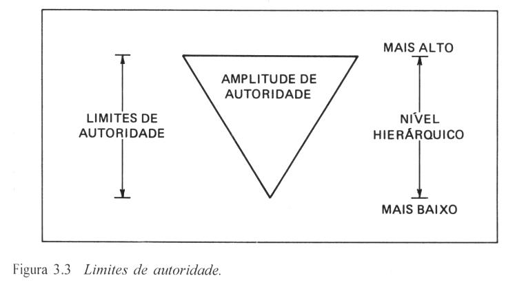 13 COMPONENTES DA ESTRUTURA ORGANIZACIONAL A seguir são apresentados alguns aspectos básicos de cada um dos componentes da estrutura organizacional.