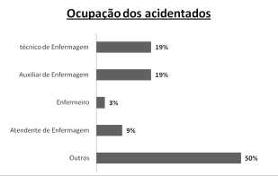 Maíris Duarte Alarcão, Mariele Cambiriba, Maria Antonia Ramos Costa. número de acidentes ocorreu com profissionais relativamente jovens com idade entre 20 e 29 anos.