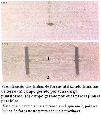 se orientam praticamente ao longo das linhas de força, permitindo uma visualização dessas linhas.