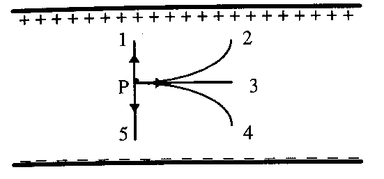 Um elétron no ponto P move-se, a partir do repouso, segundo a trajetória (a) 1 (b) 2 (c) 3 (d) 4 (e) 5 Selecione a alternativa