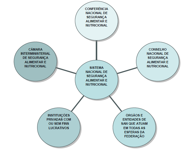 O SISTEMA NACIONAL DE SEGURANÇA ALIMENTAR E NUTRICIONAL O Sistema Nacional de Segurança Alimentar e Nutricional - SISAN, instituído pela LOSAN é um sistema em construção, que tem como objetivo