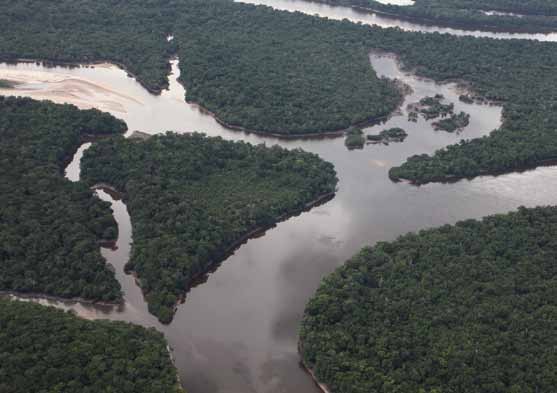 CÓDIGO FLORESTAL Entenda o que está em jogo com a reforma da nossa legislação ambiental Pode não parecer, mas o Código Florestal tem a ver com a qualidade de vida de todos os brasileiros.