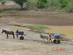 NÃO EXISTE MAIS, EVITANDO QUE OS ANIMAIS PERCORRAM MAIORES DISTÂNCIAS PARA BEBER ISSO TAMBÉM VAI PERMITIR O APROVEITAMENTO IGUAL DE TODOS OS PASTOS DISPONÍVEIS DURANTE A SECA; O CONSUMO DE ÁGUA