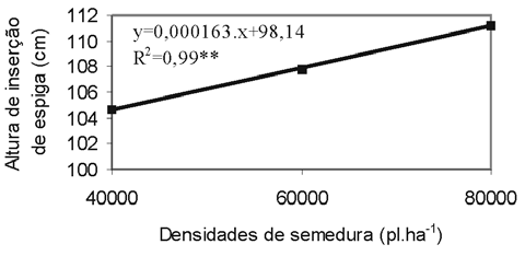 As alturas de plantas e de inserção de espiga diminuíram com a redução do espaçamento entre linhas (Figura 2).