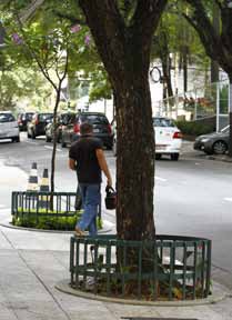 A Vegetação A presença de árvores nas calçadas é importante pois elas contribuem para melhorar o meio ambiente de nossa cidade e, nos dias de chuva, facilitam a retenção das águas.