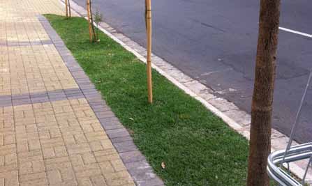 As calçadas verdes Nas ruas onde não ocorre um fluxo muito grande de pedestres as faixas de Serviço e Acesso poderão ser ajardinadas seguindo o padrão de calçadas verdes.