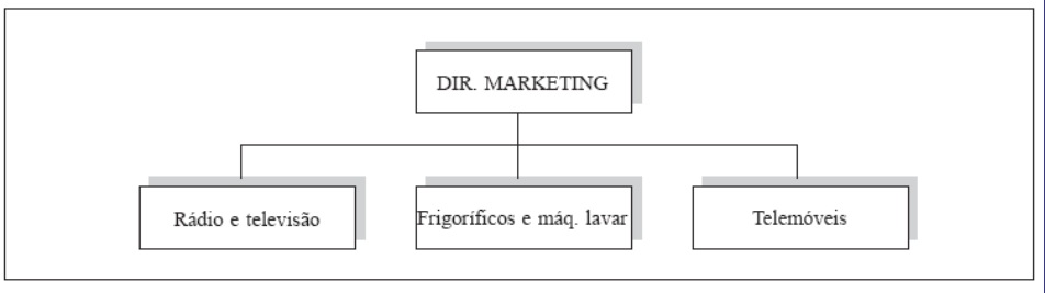 Introdução à gestão Contabilidade e administração Necessidade de controlo de funções não semelhantes; Diferenciações