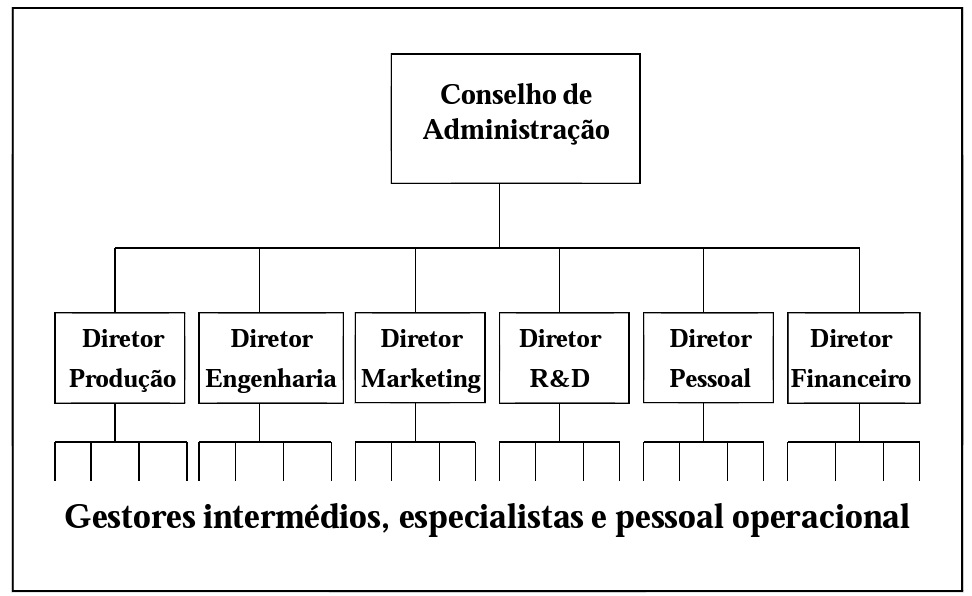 a l h o e d e l e g a ç ã o d e autoridade e responsabilidade a partir das funções clássicas da gestao: financeira, produção, comercial, pessoal, etc; Estrutura divisionária: divisão das tarefas com