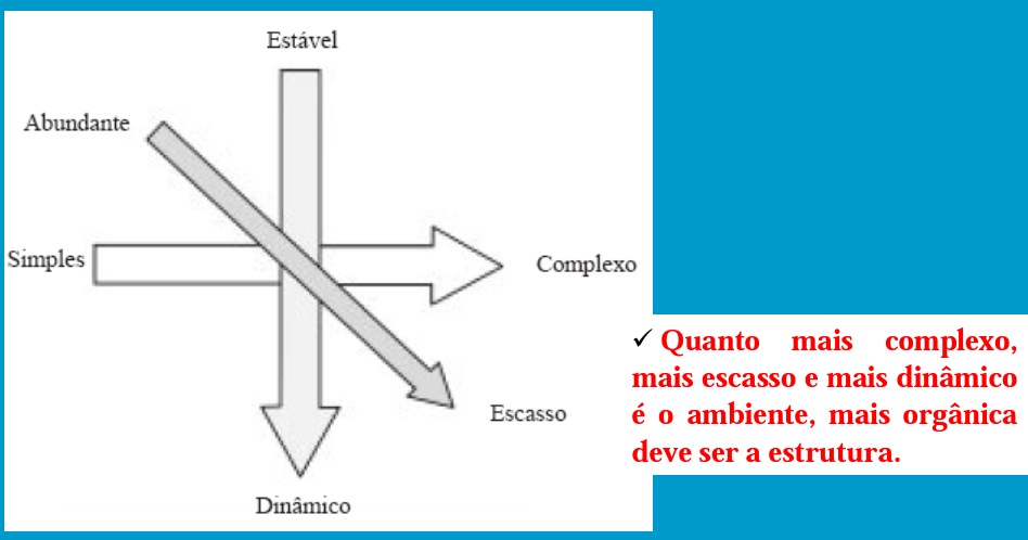 Introdução à gestão Contabilidade e administração A estrutura reflecte a idade do seu sector de actividade; Quanto maior é a organização, mais formalizada é o seu comportamento; Quanto maior for a