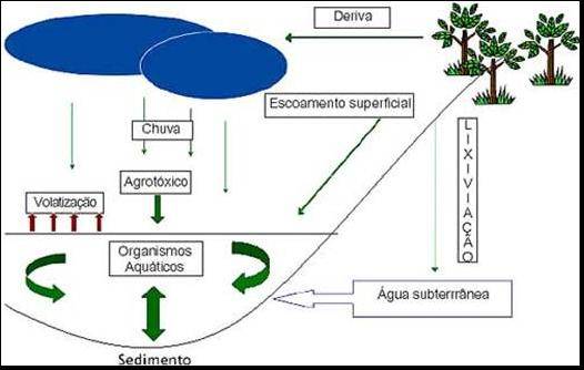 20 Figura 3 - Caminho percorrido pelos agrotóxicos em ecossistemas aquáticos Fonte: Tomita e Beyruth, (2002).