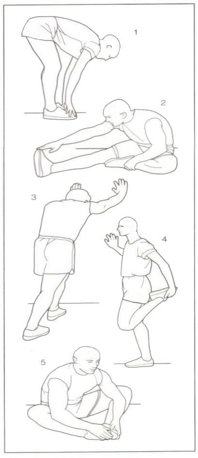 12. Aquecer e desaquecer O aquecimento é uma parte importante do seu treino e deve começar em cada sessão.