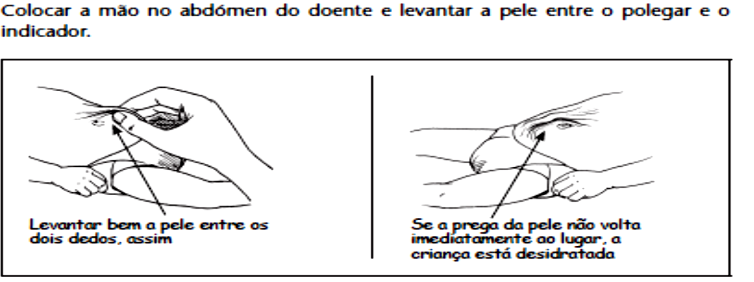 (Extraída de Werner et al. 2009: 344) 1.