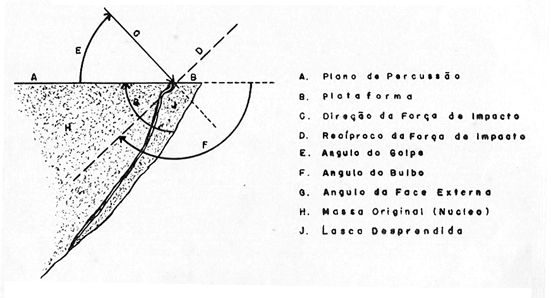 provocar a fratura. Instrumentos de percussão são pedras-martelos, encabados ou não, de durezas, texturas e tamanhos diferentes; cilindros de madeira, chifre e osso [.