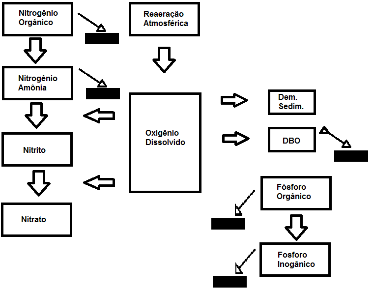24 Figura 3 - Representação esquemática dos constituintes simulados no modelo QUAL-UFMG e de inter-relações.