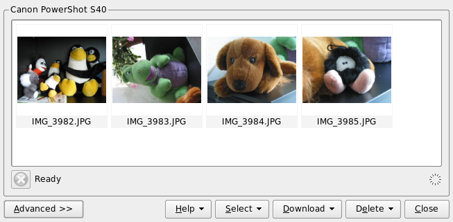 Figura 18.2 Fazendo download de fotos da câmera As opções de renomeação podem ser bastante práticas se a câmera não usar nomes de arquivo expressivos.