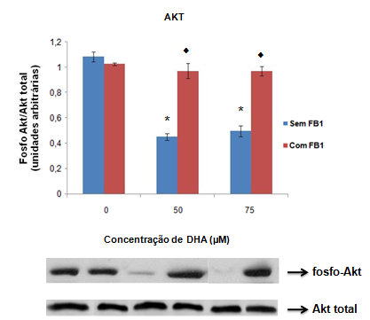 53 Figura 18 Efeito de diferentes concentrações de ácido docosa-hexaenóico (DHA) sobre a fosforilação da proteína Akt em células Jurkat.
