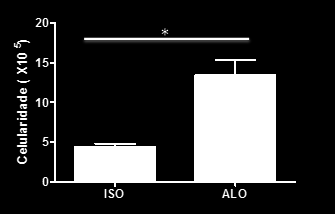 4.2- Análise dos enxertos cardíacos Uma vez caracterizados os linfonodos de drenagem quanto ao fenótipo de ativação de linfócitos T e também da deposição de LM, buscamos analisar o sítio efetor da