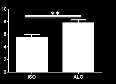 MFI (u.a) 4.2.