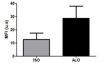 Além disso, também analisamos a deposição da isoforma LM332, uma vez que esta isoforma é a única, claramente descrita na literatura, que possui a cadeia LAMB3 na sua constituição e é expressa em