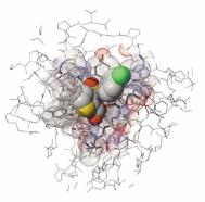 Drug Development Strategy using genome data Genome Gene Protein HTS Hit Candidate Drug Genomics