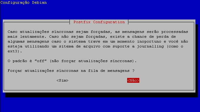 Deixaremos em branco uma vez que não haverá outros domínios virtuais como gateway de e-mail.