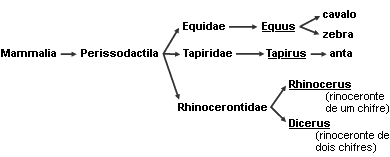 IV. Adição de ácido ao suco digestivo. Ocorrem no estômago apenas: a) I e II b)i e IV c) II e III II e IV e) III e IV 66. Nas opções abaixo estão relacionadas cavidades cardíacas e vasos sanguíneos.