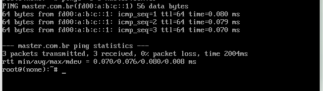 64 funcionando corretamente. Esse teste é feito através do comado ping para protocolos em IPv4 e ping6 para protocolos IPv6, no sistema operacional Linux. As Figuras 4.9 e 4.