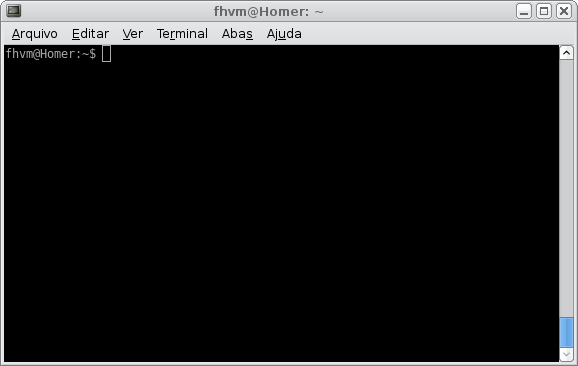 32 DICAS INICIAIS Isso posto, um dos programas mais comuns disponíveis para os usuários do sistema operacional GNU/Linux é chamado de terminal, como uma abreviação de terminal de linhas de comando,