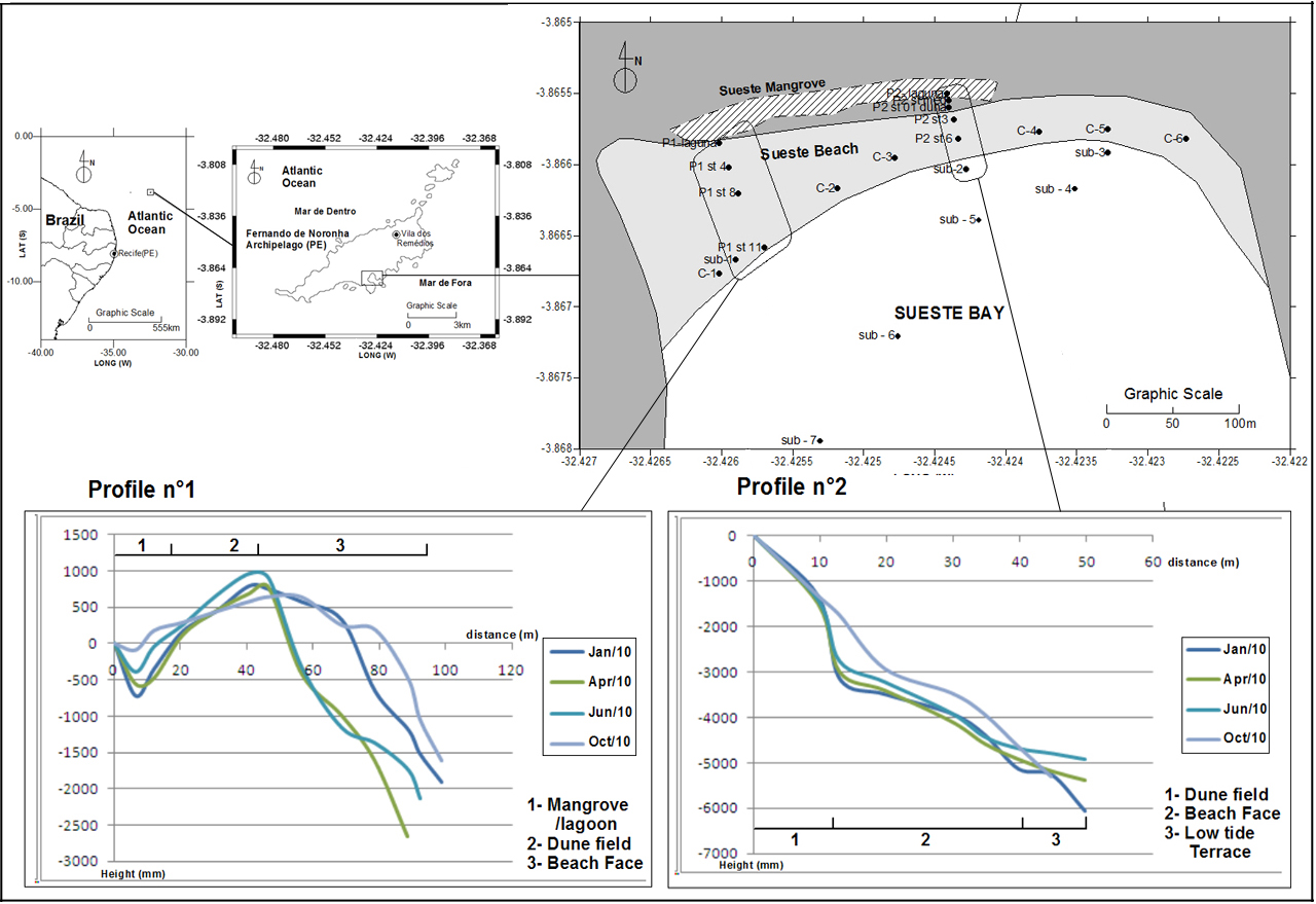 Figure 2. Study area location, sampling stations and the beach profiles. Figura 2. Localização da área de estudo, estações de coleta e dos perfis praiais. 4. RESULTS AND DISCUSSION 4.