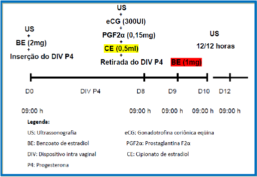 32 US + ecg (300UI) + PGF2α (0,15mg) + CE (1mg) + Retirada do DIV P 4 Figura 3 - Representação esquemática dos momentos de realização do protocolo TCE8/TBE9 (tratamento com cipionato de estradiol no